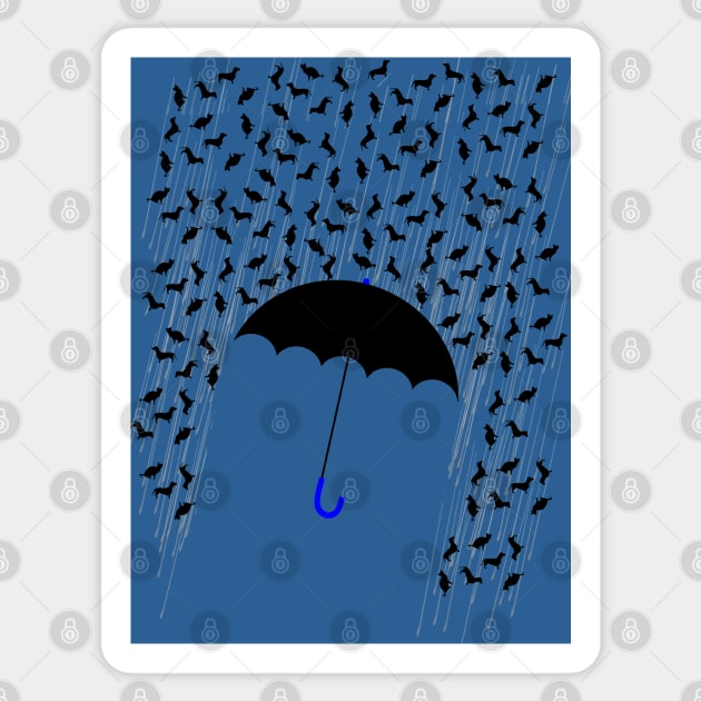 It's raining cats and dogs! Sticker by SandraKC